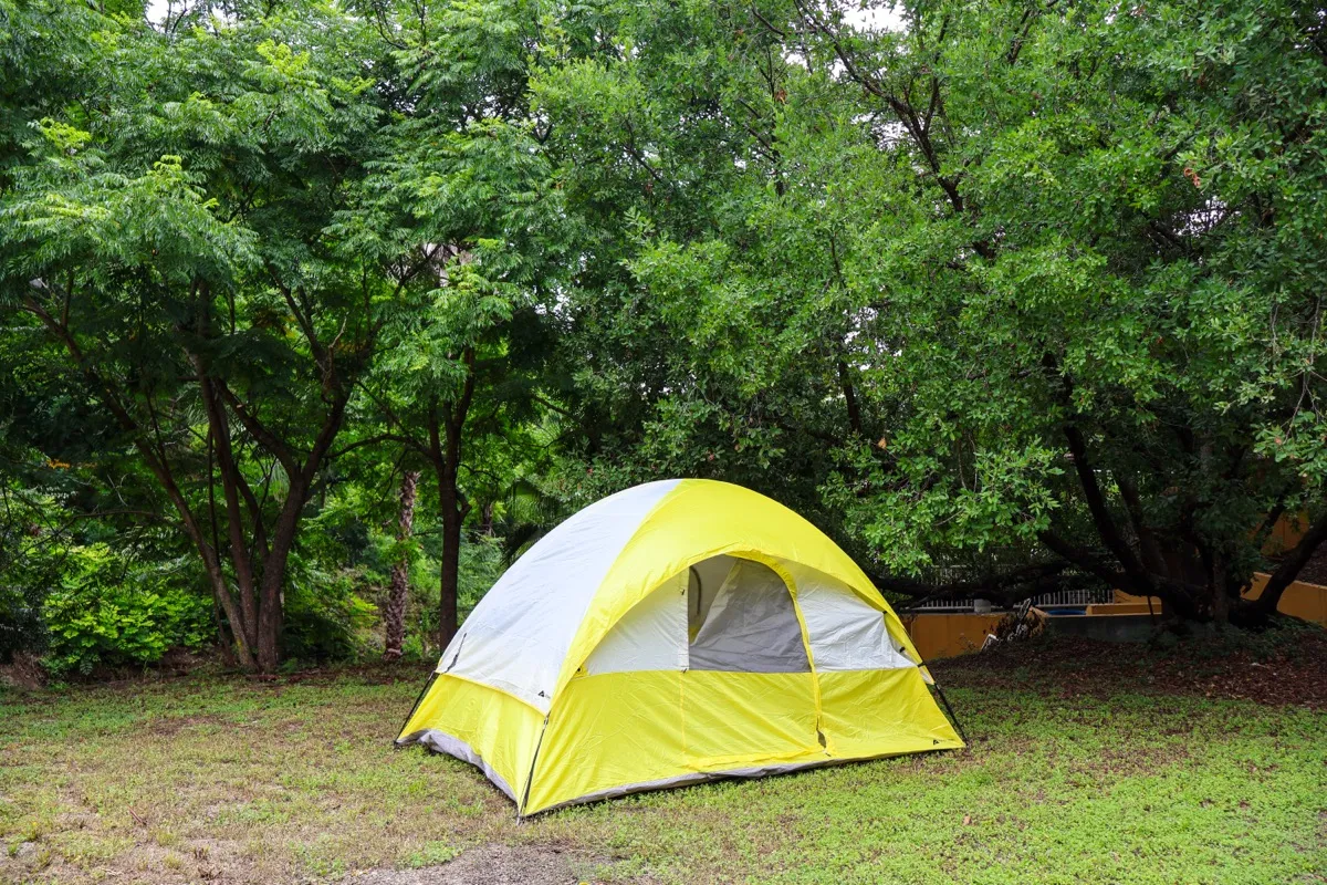 Casa de campaña en el bosque