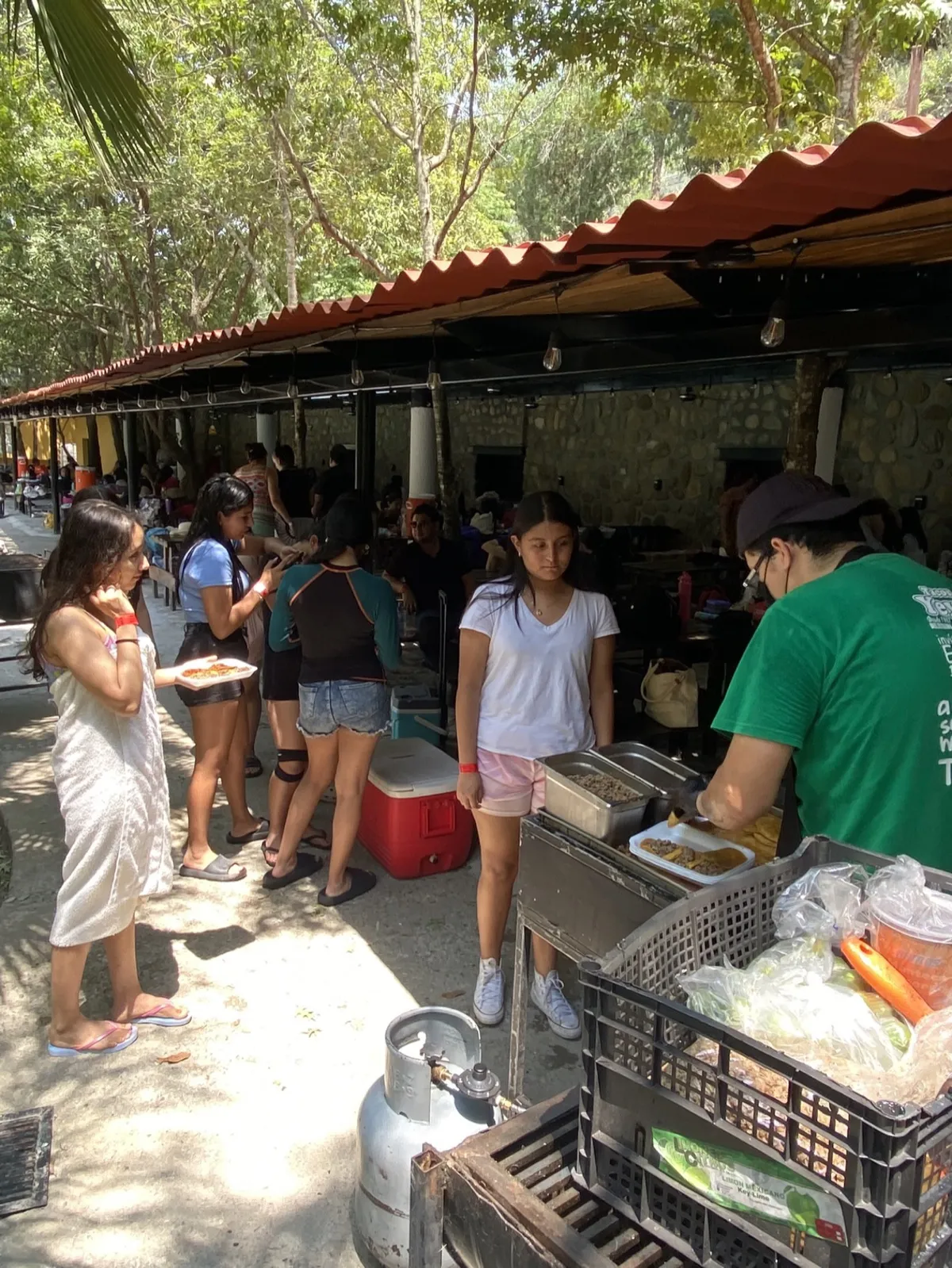 Excursión escolar en la naturaleza