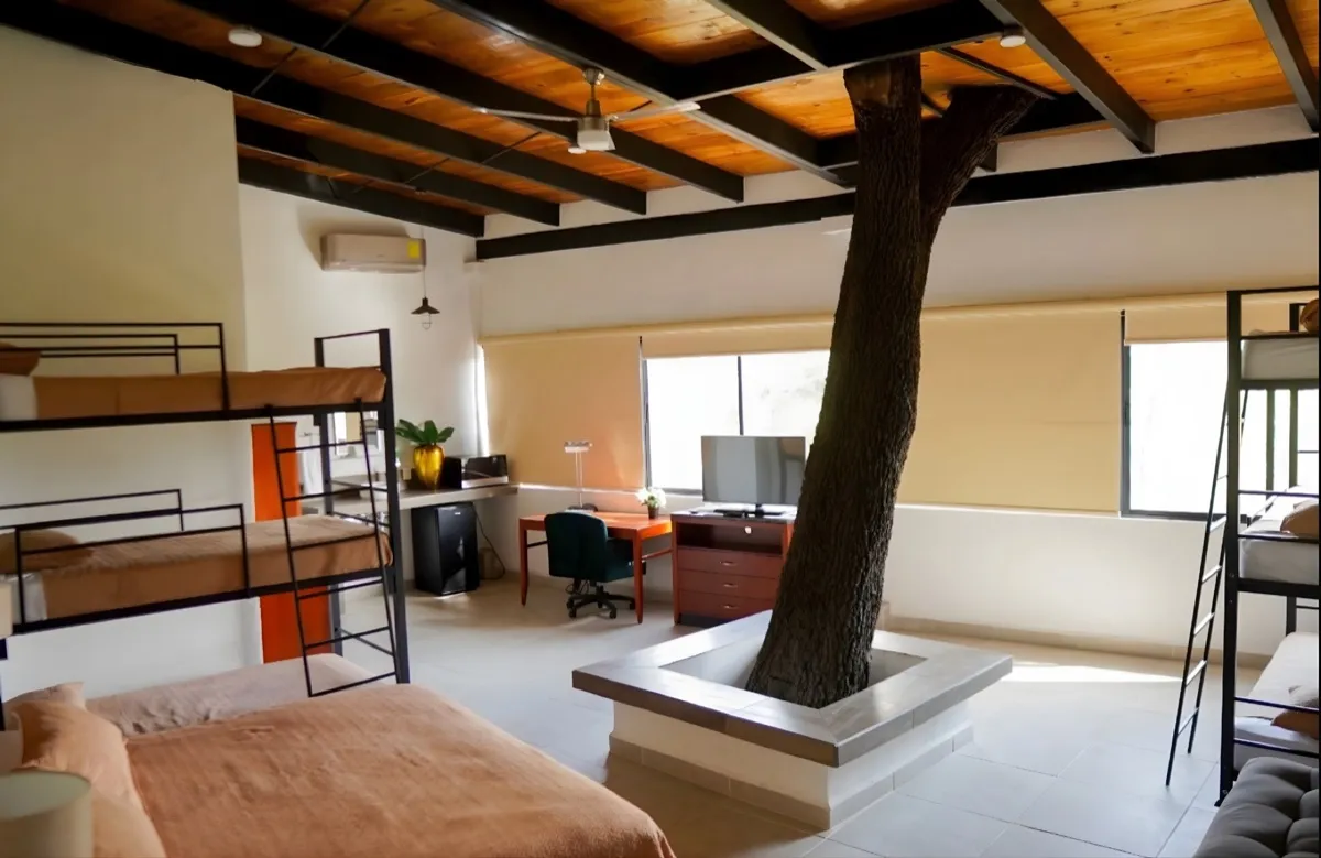 Habitación 11